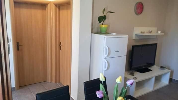 Apartment Dukic Sveti Filip i Jakov Kültér fotó