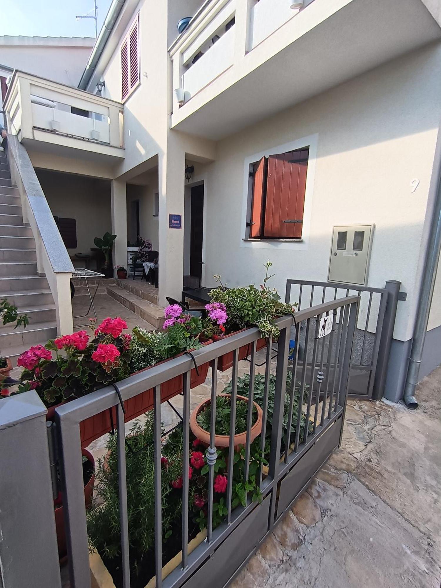 Apartment Dukic Sveti Filip i Jakov Kültér fotó